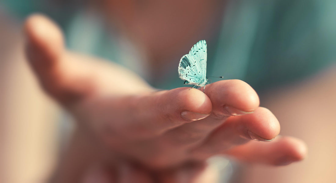 Phases of Microdosing: What to expect? - Earth Resonance