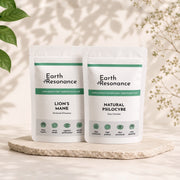 High Frequency Package