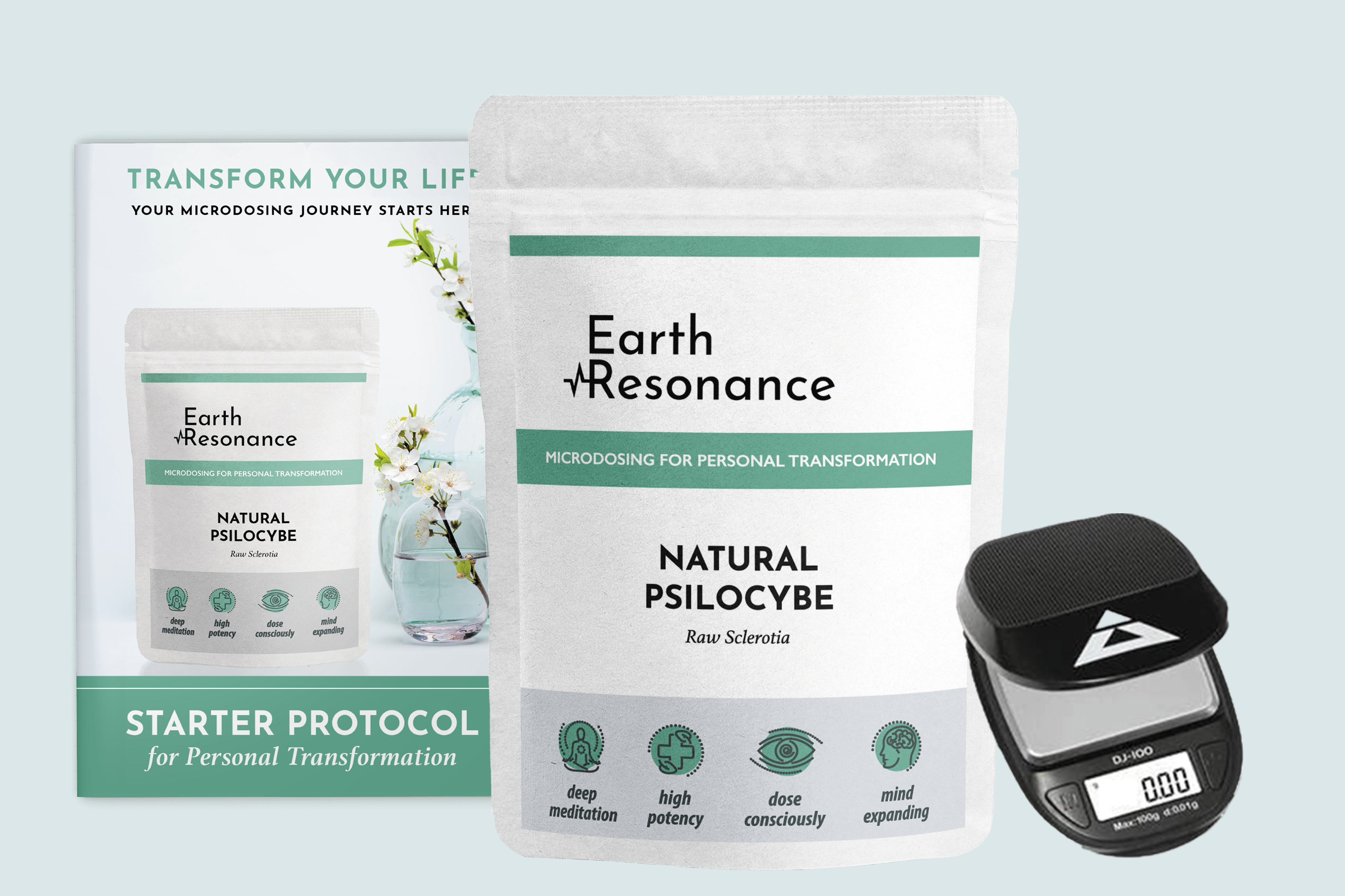 Earth Resonance