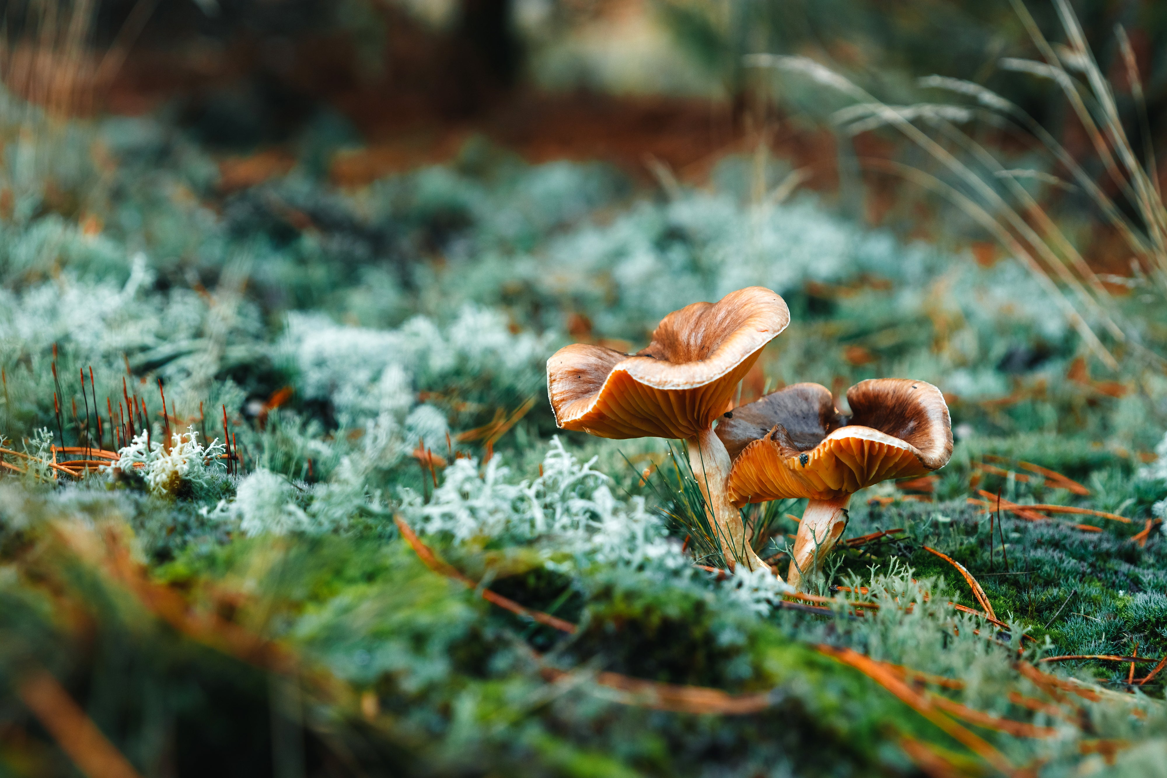 shutterstock_752052406.jpg__PID:96c3b7fe-0239-4120-a604-51b57d751ead